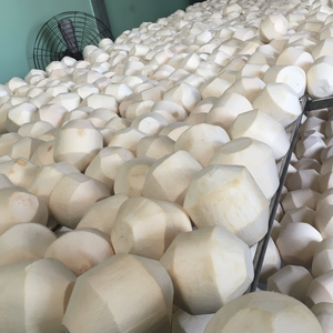 Eau de coco jeune et sucrée en forme de diamant, de qualité supérieure et à prix abordable, provenant du Vietnam - Ms.May - Product Image 1