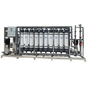 Kaiyuan Customized 40 T/H Ultra Filtration UF System