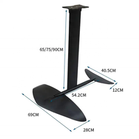 Direct Factory Hydrofoil planche à voile pas cher prix hydrofoil planche à voile waterpaly avec foilboard