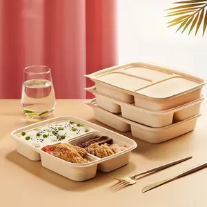 Meal Prep Boxes India Container Tray Manufacturer Biodegradable Food Containers Wholesale Usa