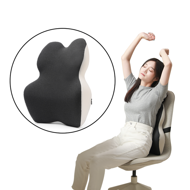 Memory Foam Lumbar Support Cushion Ergonomic Back Cushion for Office Chair Pain Relief
