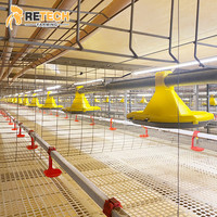 Cage automatique pour poulets de chair Cages pour poulets de chair 60K-80K Oiseaux Poulet de chair Poulailler