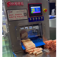 Nouvelle trancheuse à viande électrique automatique, lame en acier inoxydable 304, pour restaurants à fort trafic, capacité 100 kg/h, 0,5-1 mm, garantie 1 an, Chine