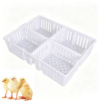 Nouvelle cage de transport pour poussins en PP à 4 compartiments, moulage monobloc, poignée respirante antidérapante, boîte de transport pour poussins et pousseronnières, volaille