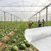 Filet d'ombrage professionnel blanc pour serre, 50% 70% de réflexion de chaleur, lumière diffusée pour une photosynthèse optimisée et une croissance rapide des cultures