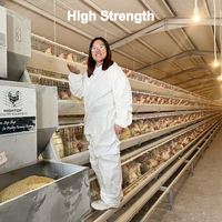 Jaulas para gallinas ponedoras tipo A de 4 niveles para 120-160 aves, precio de fábrica, jaulas de batería de diseño personalizado para granjas avícolas en Kenia