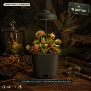Vaso per Coltivazione di Venus Flytrap con Luce LED e Sistema di Auto-Irrigazione, Kit Espositivo per Piante Carnivore da Scrivania - Pronto per Regalo per Casa/Ufficio - Product Image 1