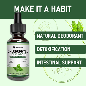 Suplementos Líquidos de Clorofila para la Salud, Disponibles en Stock Local en EE. UU., Gotas de Clorofila Líquida Splina para Limpiar el Cuerpo - Product Image 6