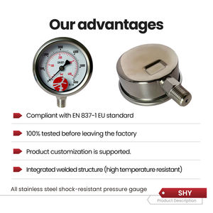 เกจวัดแรงดันอุตสาหกรรมความแม่นยำสูง โครงสร้างสแตนเลสทั้งหมด -30psi ถึง 6000psi ช่วงการวัด - Product Image 3