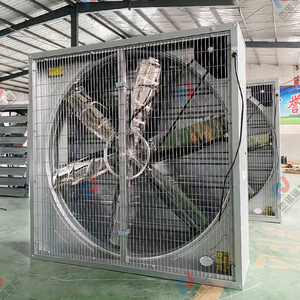 Ventilateur <span class=keywords><strong>d</strong></span>'<span class=keywords><strong>extraction</strong></span> de marteau résistant à la corrosion pour la réduction de température <span class=keywords><strong>d</strong></span>'<span class=keywords><strong>extraction</strong></span> <span class=keywords><strong>d</strong></span>'<span class=keywords><strong>air</strong></span> <span class=keywords><strong>d</strong></span>'atelier <span class=keywords><strong>d</strong></span>'usine de textile - Product Image 2