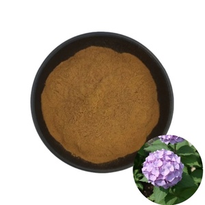 Poudre d'extrait de racine d'hortensia Arborescens de qualité alimentaire pure et naturelle en vrac pour entrepôt - Product Image 1