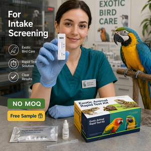 Kit <span class=keywords><strong>de</strong></span> Prueba Rápida NDV para Loros, Palomas y Aves Exóticas, Uso Veterinario, Sin Pedido Mínimo, Muestra Gratuita - Product Image 3