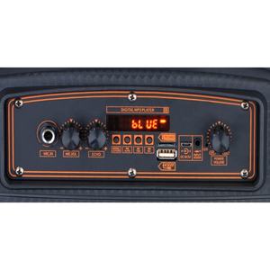 Económico 8 pulgadas digitalizar portátil multifunción recargable Trolley altavoz con Subwoofer - Product Image 6