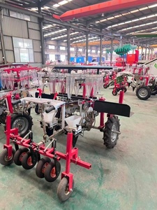 Prix d'usine, machine à repiquer les semis de légumes et de pastèques automotrice, repiqueuse automatique de semis - Product Image 4