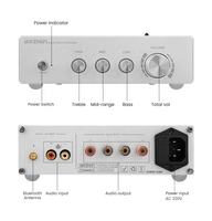 Système Home Cinéma BRZHIFI 3255-A BT 5.0 300WX2 Amplificateur Audio Numérique Stéréo Haute Puissance Haut de Gamme