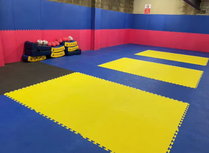 Kárate y Judo EVA Puzzle Mats (2-4cm) para Dojos - Product Image 2