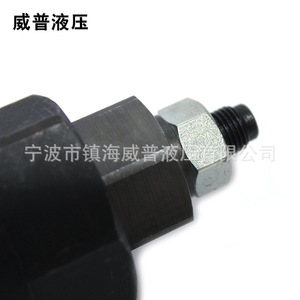 Válvula de Alivio Hidráulica Wepu de 1/2 Pulgada, 315 Bar, 100 L/min para Maquinaria de Construcción - Product Image 2