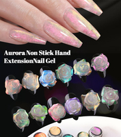 Label privé 12 couleurs Nail art Aurora Gel d'extension des mains antiadhésif sculpture 4D fleur ongles Gel dur constructeur pour ongles