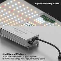 Kosteneffectieve 120W Volspectrum LED Kweeklamp Ultralicht Quantum Paneel Verre Rood Dimmer Hoge Efficiëntie Bloei Succulenten Tuinbouw