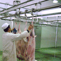 Equipo de matadero de cabras Ritual para planta de proceso de carne de matadero de cordero