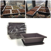 Pot de fleur en argile violette d'intérieur/extérieur Pot de plante carré/rectangulaire en plastique pour plantes succulentes anciennes Bonsai Plantin