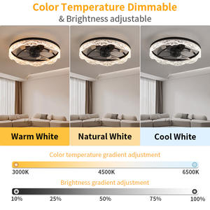 Ventilateur de plafond minimaliste nordique à 5 pales, 11,8 pouces, LED DC, 6 vitesses, 3000K-6500K, intelligent, silencieux, application/télécommande, gradation, matériau en fer - Product Image 3