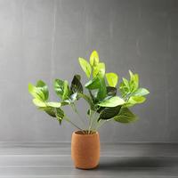 LEECORK Pot de fleurs rond classique en liège exotique, mini pot de plantation pour la maison et le jardin, pot d'intérieur