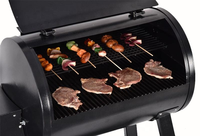 Four à granulés sur chariot, poêle à granulés pour camping extérieur, cuisinière à bois, barbecue à charbon pour kebab