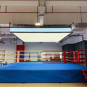 Anneau de combat de boxe professionnel personnalisé en usine anneau de boxe de compétition d'entraînement de boxe Thai MMA - Product Image 1