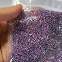 Vente Flash et Échantillon Gratuit - Grand Paquet de Strass Thermocollants DMC SS16 pour Chaussures et Vêtements DIY