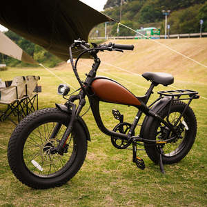 Vélo Électrique Rétro 2026 le Plus Vendu pour Adultes, Mini Vélo Électrique pour Enfants, Vélos Électriques à Pneus Larges de 20 Pouces avec Freins à Disque Hydrauliques - Product Image 5