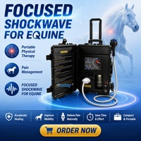 Équipement de thérapie par ondes de choc pour écuries de chevaux, soins et récupération, utilisation vétérinaire, réadaptation, machine à ondes de choc ciblées
