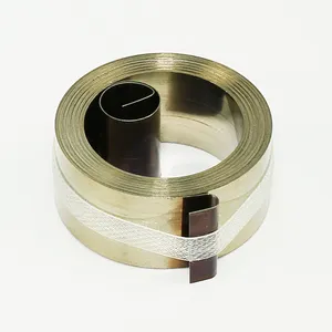 Coil Torsion Spiral Manufacturers Power Flat Spiral Springs