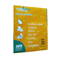 Papier copie A4 léger 80 g/m² 100 % pâte de bois vierge, polyvalent pour le bureau, usage quotidien, papier d'impression format lettre, 500 feuilles