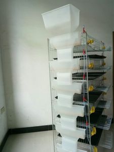 Equipamento para Avicultura: Gaiola Comercial para Codornas Tipo H de 6 Camadas para Venda - Modelo HJ-QC400A - Product Image 5