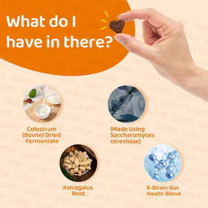 Probióticos para Perros, Enzimas Digestivas, Apoyo Inmunológico, Digestión Sensible, Masticables Suaves Seguros para el Intestino, Alergias Estacionales, 90 Unidades, Venta Caliente OEM - Product Image 3