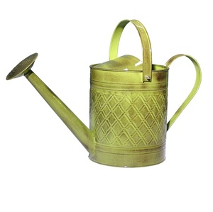 Arrosoir en métal galvanisé 1 gal vintage en acier galvanisé écologique avec bec amovible pour plantes d'intérieur d'extérieur - Product Image 5