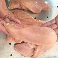 Filets de poitrine de poulet surgelés en vrac de haute qualité, sans os ni peau, 10 kg, bon prix, conformes aux normes halal