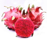 Vers Drakenfruit Ook Bekend Als Pitaya Drakenfruit Vers