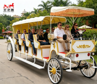Vente en gros de calèches électriques, calèches de mariage électriques, calèches électriques de style européen pour la visite des monuments