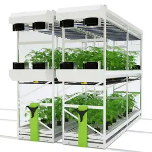 Nursery Greenhouse Vertical Medical Herbs Growing Rack Grow Table Seeding System Double Layers