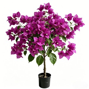 High Quality Real Touch Artificial Silk Bougainvillea <b>Trees</b> Durable Indoor Desktop Plants - Product Image 6