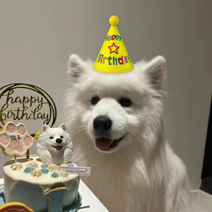 Chapeaux Et Arcs D'anniversaire Pour Chien Ou Chat - CUQUE - Bleu