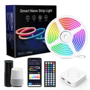 Magic RGB IC tuya smart life wifi 5050 Music Sync Color Changing Remote App Control 3m type c LED Neon strip light