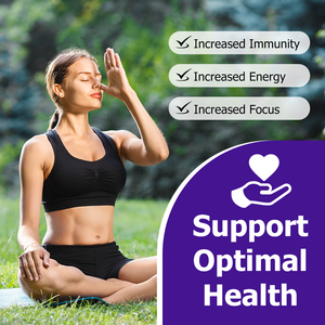 High Quality Matcha Mushroom 10 Mushroom Extract Blend Collagen Increased Immunity Energy Supplement Matcha Energy Powder - Product Image 3