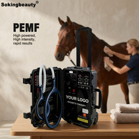 Appareil PEMF à boucle papillon pour chevaux, directement de l'usine, soulage la tension musculaire, améliore la mobilité des articulations, dispositif magnétique PEMF.