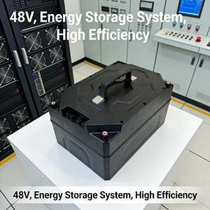 Penjualan Langsung Pabrik Paket Baterai LiFePO4 48V 30Ah untuk Kendaraan Listrik 2-Roda/3-Roda - Product Image 1
