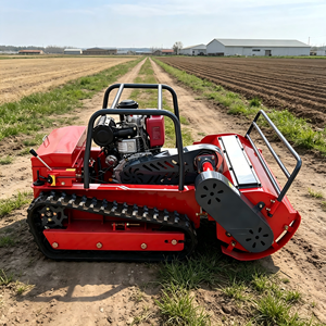 <span class=keywords><strong>Decespugliatore</strong></span>/trinciatrice professionale telecomandato per la rimozione delle erbacce e la manutenzione di zone antincendio. - Product Image 1