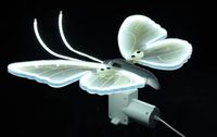 Lampe LED papillon à motif imperméable IP65 au design moderne avec mouvement, décorations pour événements et fêtes, lumières LED pour mariage