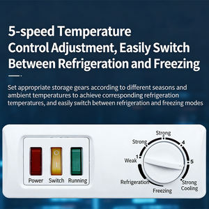 Congélateur à double porte avec thermostat mécanique réglable et porte coulissante entièrement vitrée pour supermarchés, restaurants et vendeurs ambulants - Product Image 5